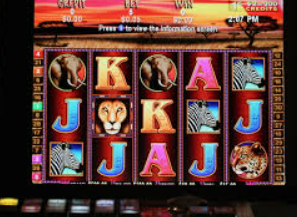 pg赢财神最新版